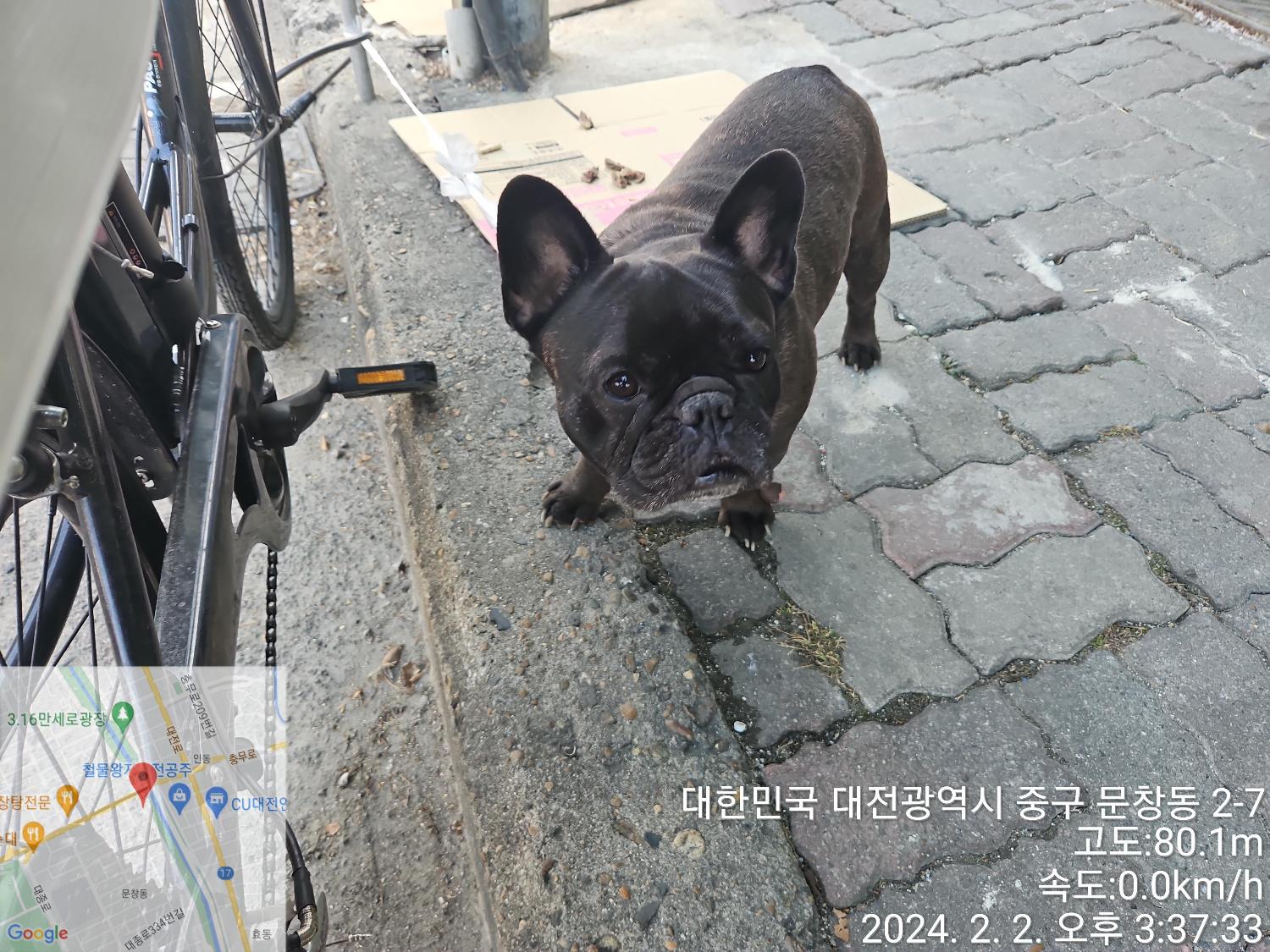 종료(반환) 프렌치…